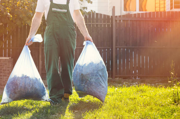 Best Electronics and E-Waste Disposal  in Rio, WI